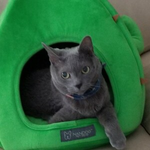 Judith Schmidt-Perez